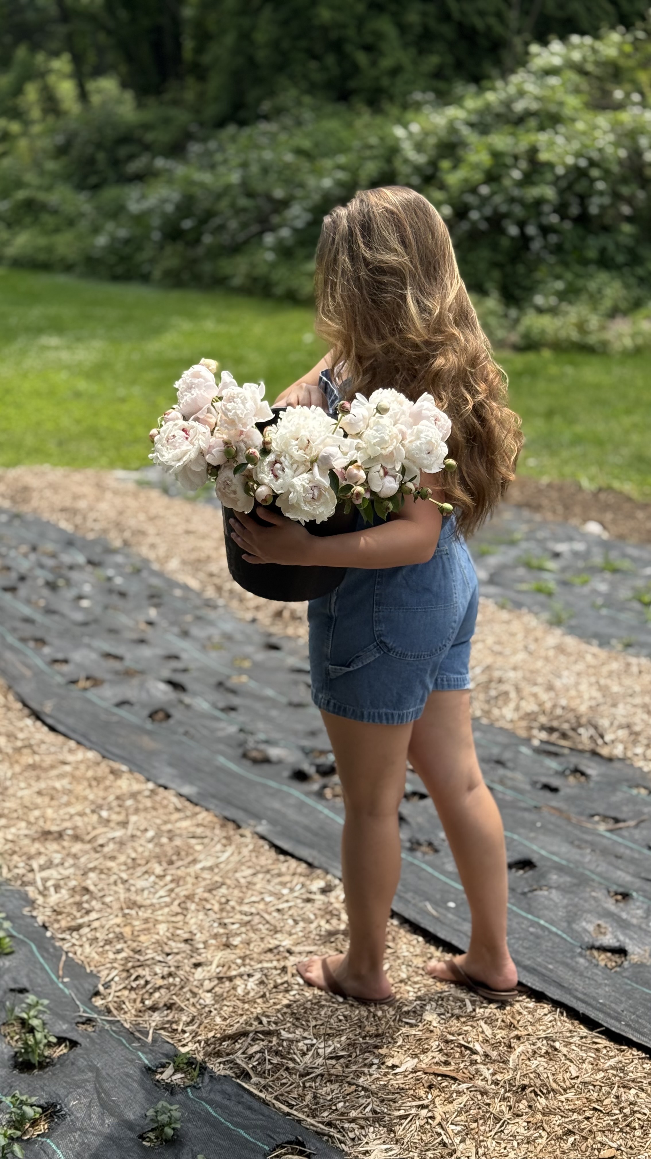 Walking the flower rows at golden hour