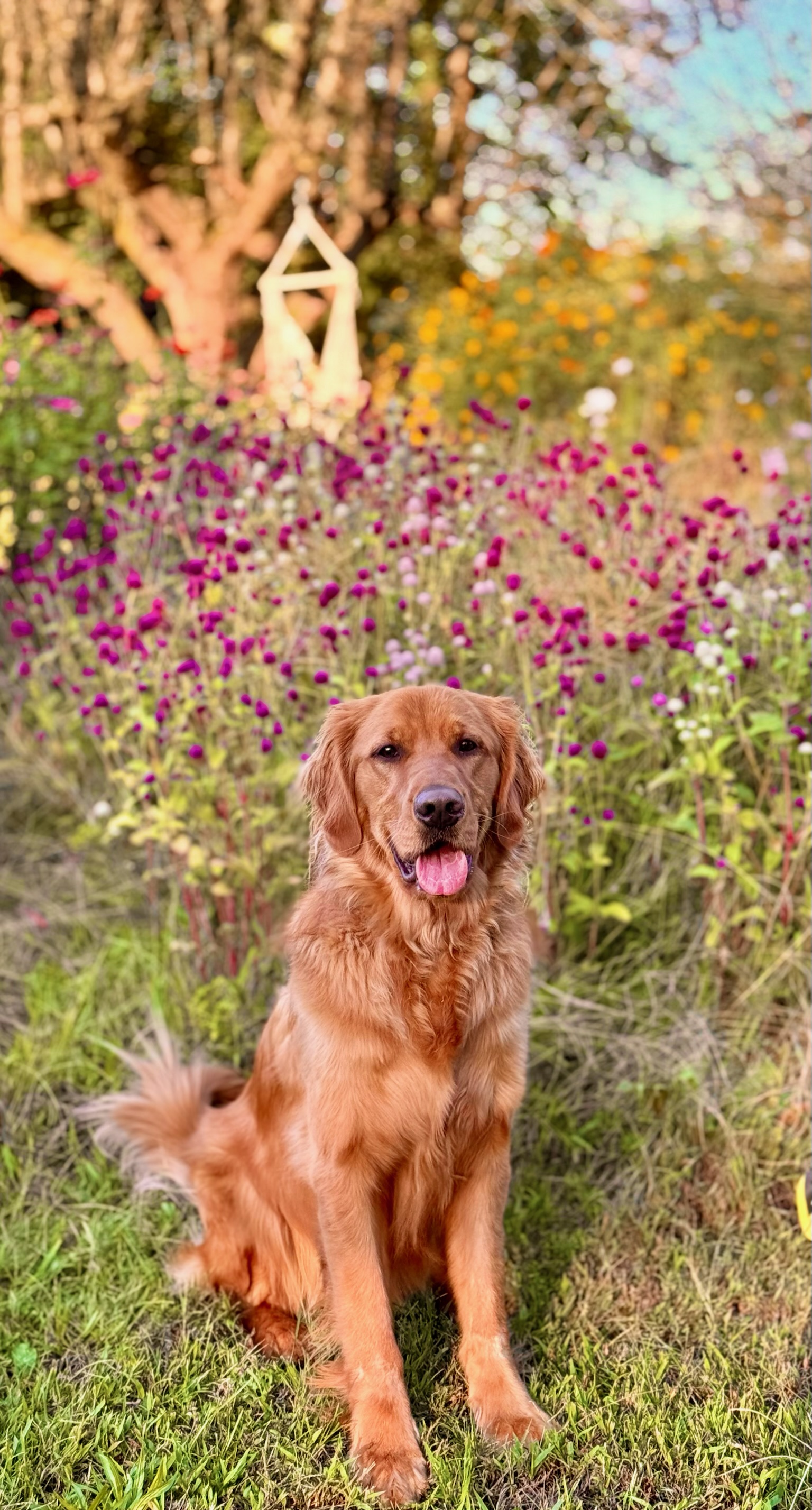 Once & Flor'al flowers