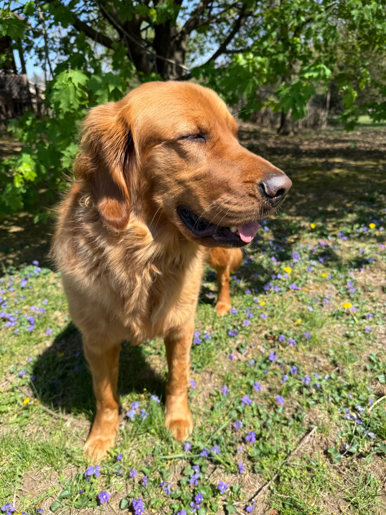 Once & Flor'al flowers