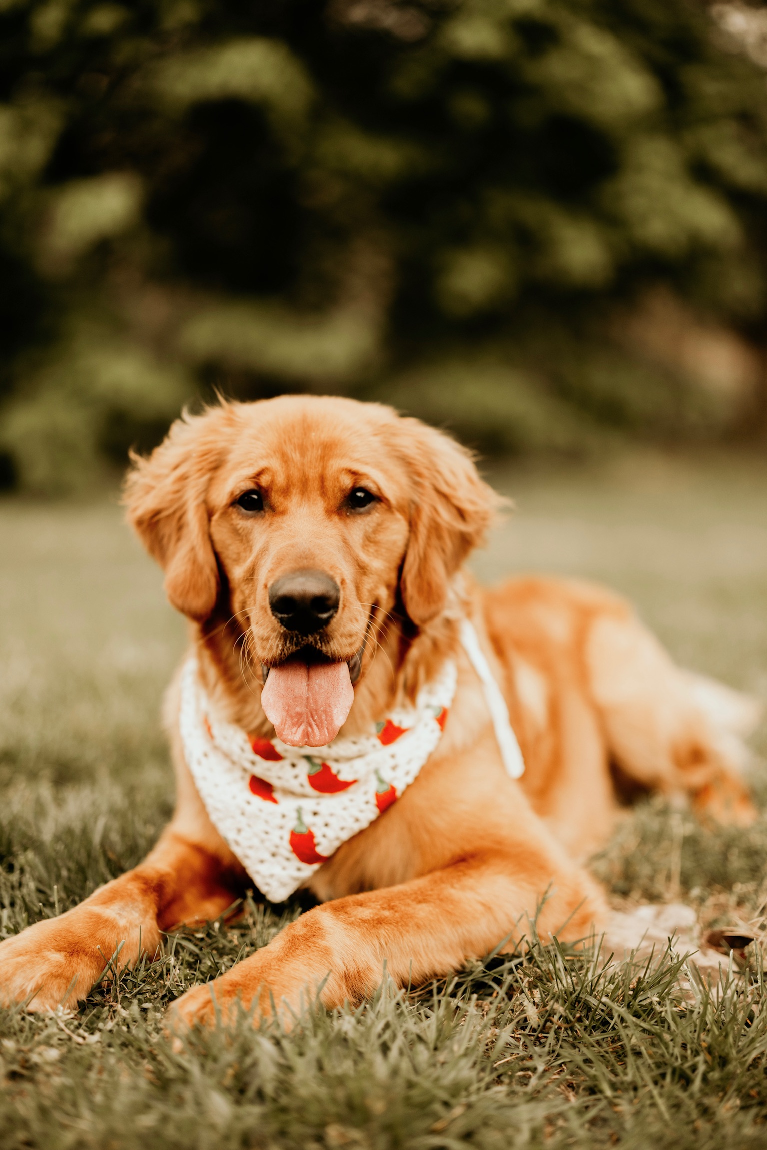 Once & Flor'al flowers