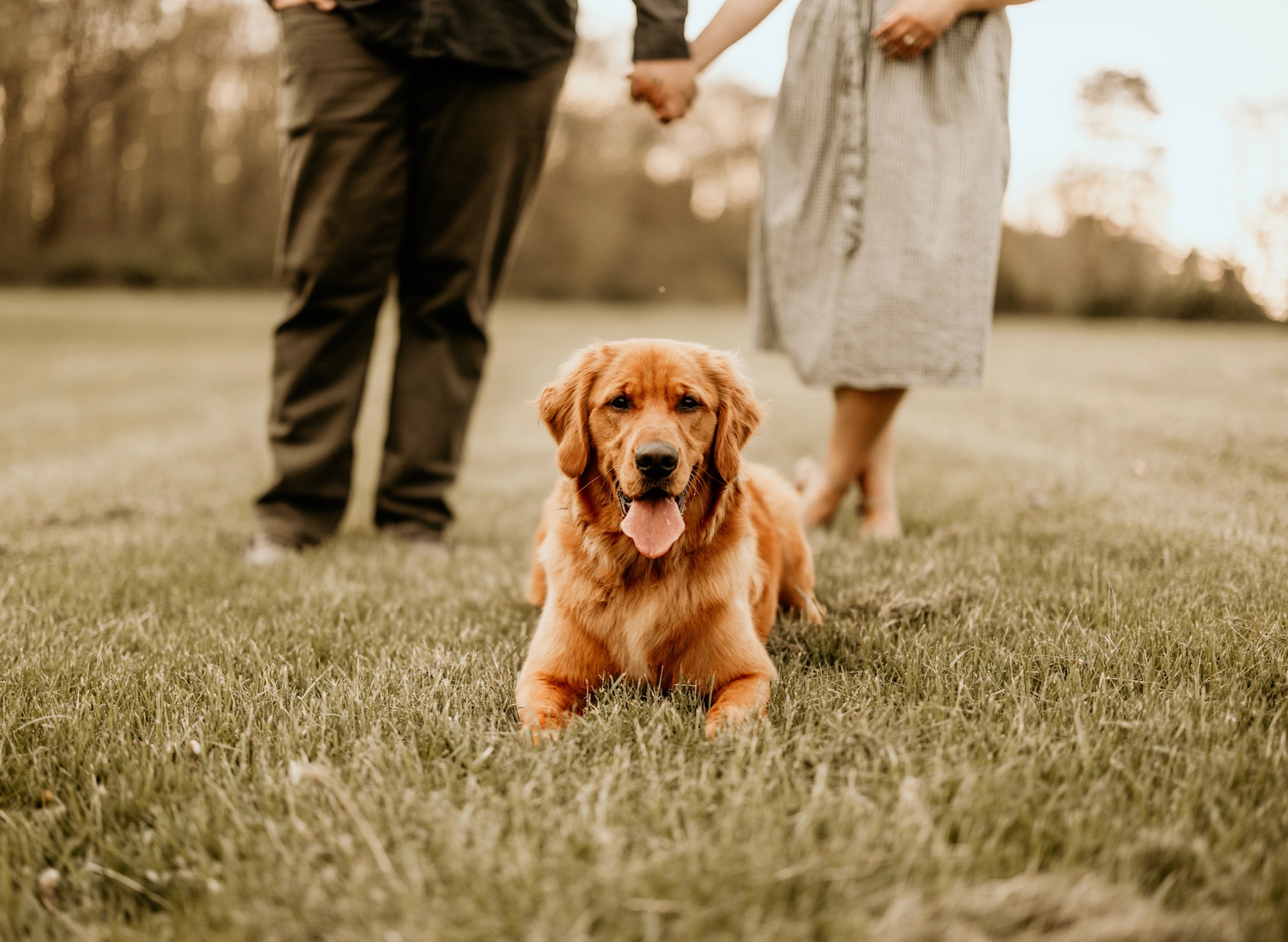 Waffles with the family